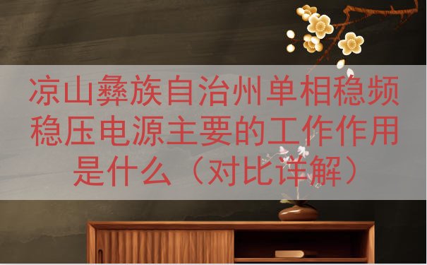 凉山彝族自治州单相稳频稳压电源的工作作用是什么（对比详解）